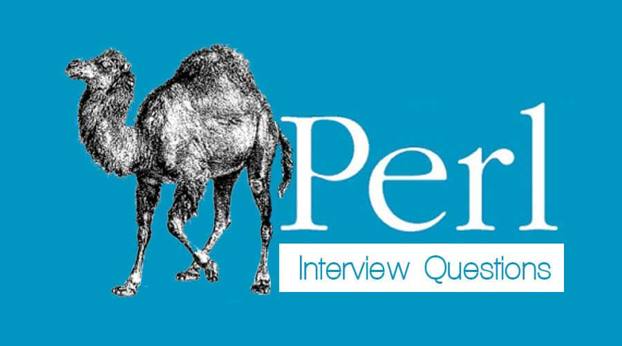 Interview 2